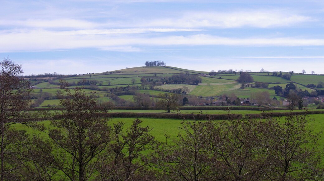 Kelston Roundhill