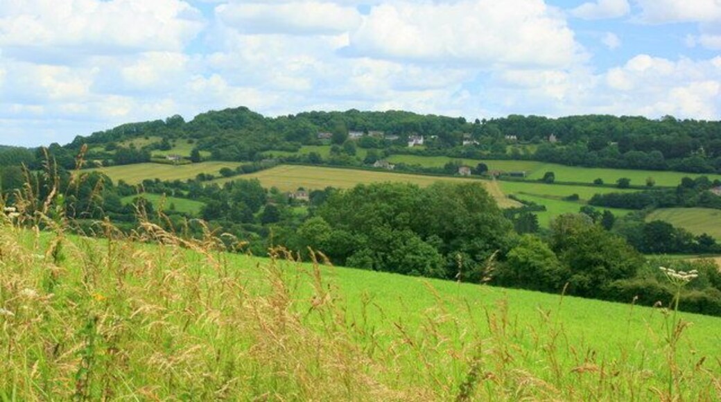 View from Shockerwick Lane Through a gap in the hedgerow on Shockerwick Lane we can look east up the valley of the By Brook toward Box. The hill to the right is Kings Down with its golf course and clinging to the near side we can see upper part of Kingsdown village.