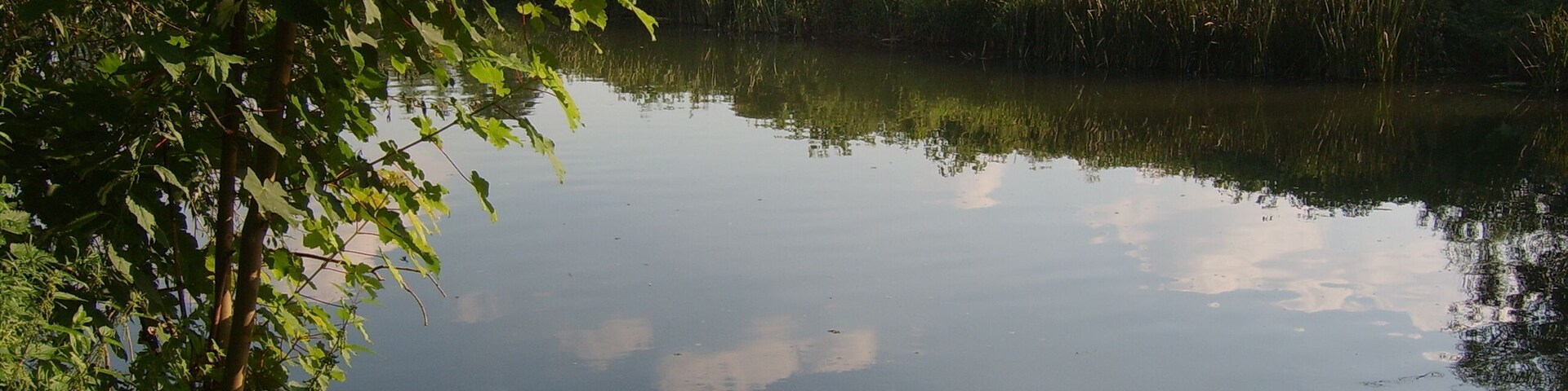 River Avon