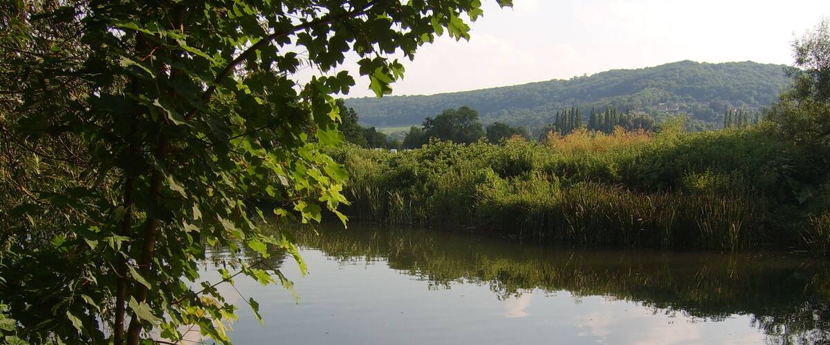 A calm river surrounded by lush greenery and distant hills.