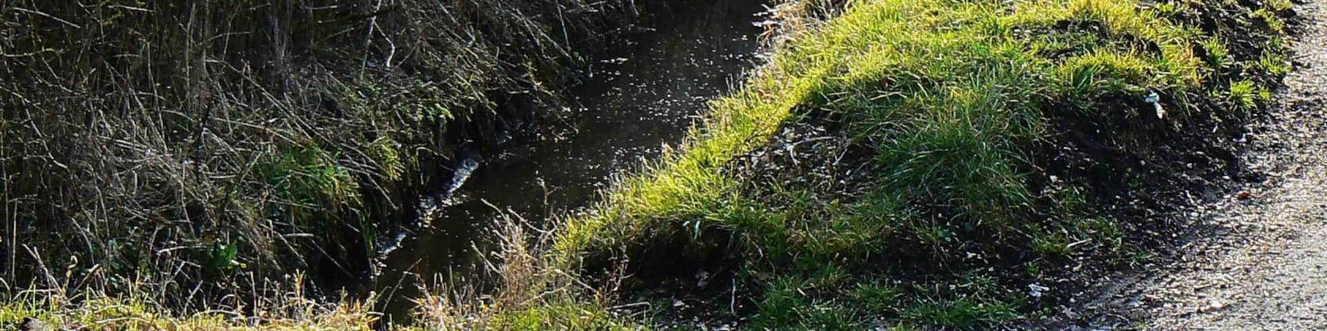 Roadside signage and Collins Lane, Purton I'll stick to the cell-phone if it's all the same to you.