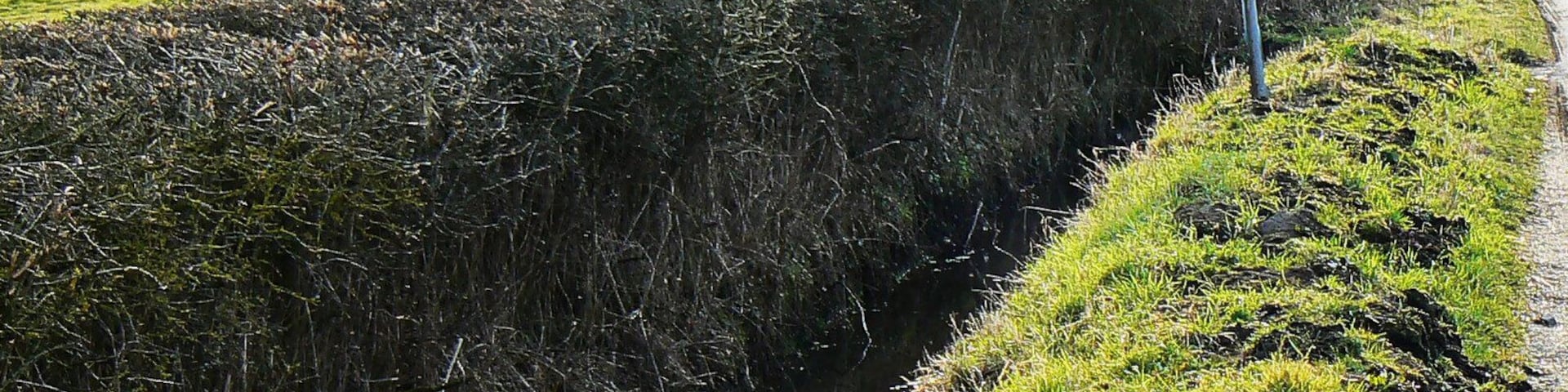 Roadside signage and Collins Lane, Purton I'll stick to the cell-phone if it's all the same to you.