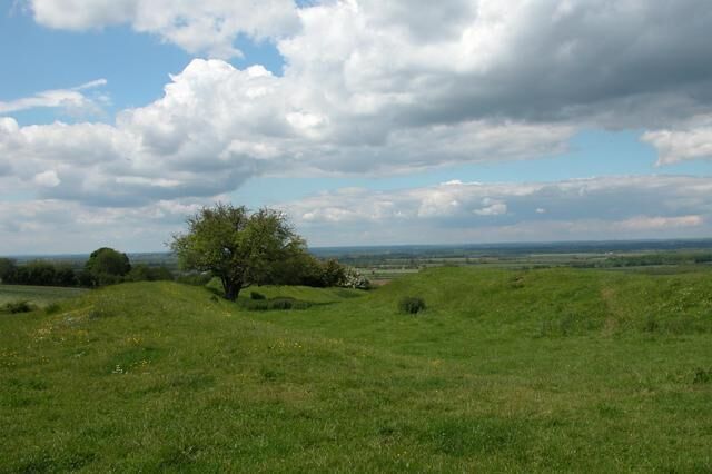 A grassy field with a prominent tree and distant hills under a partly cloudy sky.