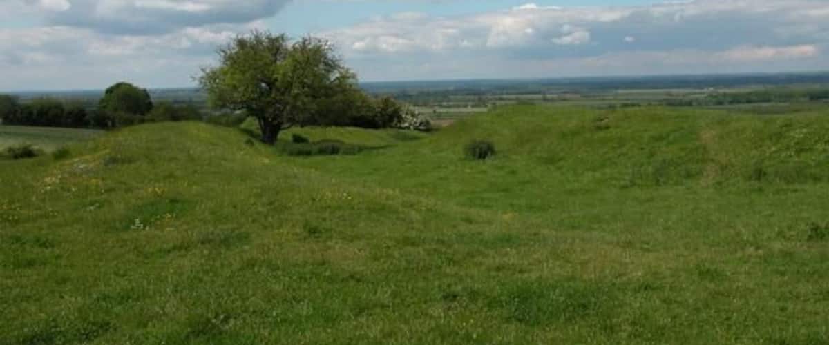 A grassy field with a prominent tree and distant hills under a partly cloudy sky.