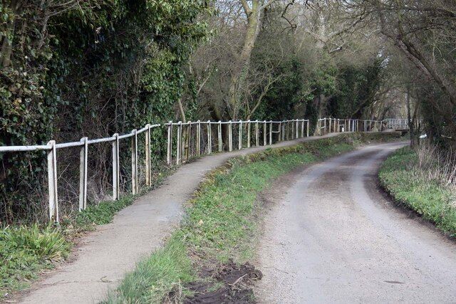 A narrow, winding country road flanked by a white fence and dense trees.