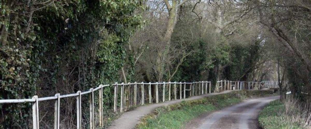 A narrow, winding country road flanked by a white fence and dense trees.