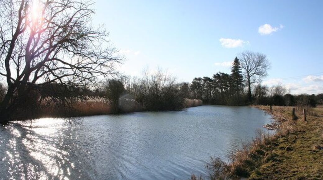Weir stream at Sandford.