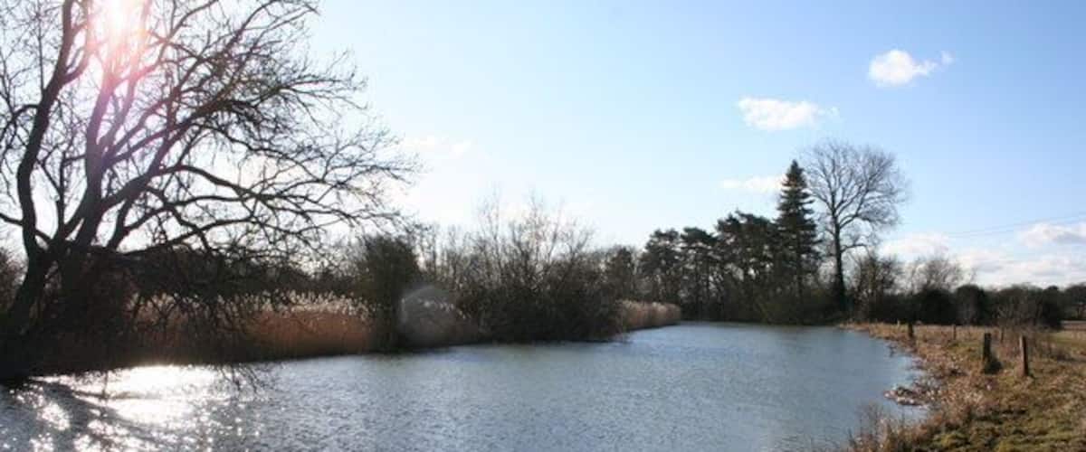 Weir stream at Sandford.