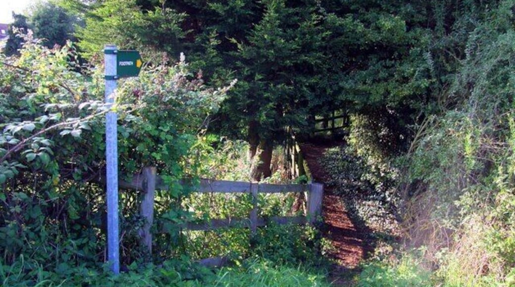 Footpath to Littleworth Park