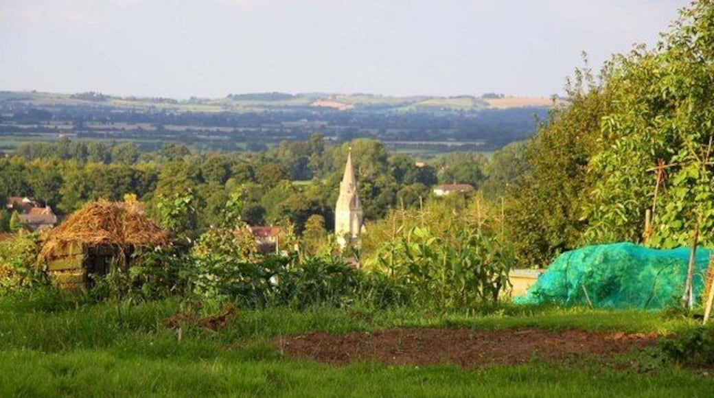 Howe allotments in Windmill Lane