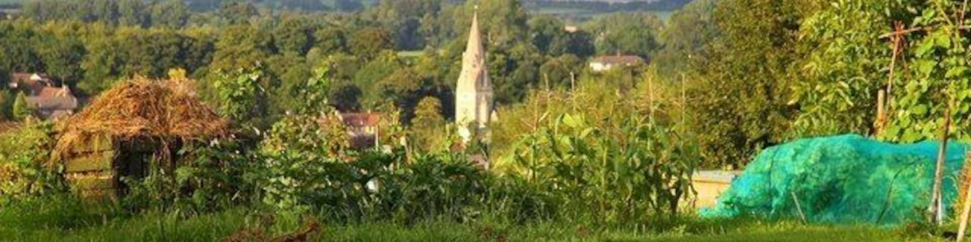 Howe allotments in Windmill Lane