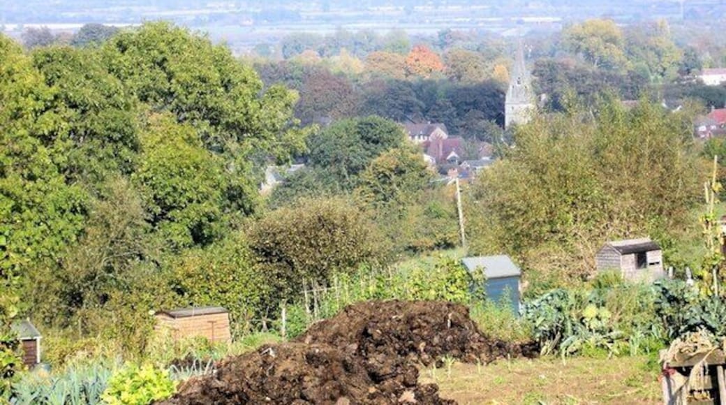 Howe Allotments, Windmill Lane, Wheatley Howe Allotments, Windmill Lane, Wheatley with St. Mary's church in the distance.