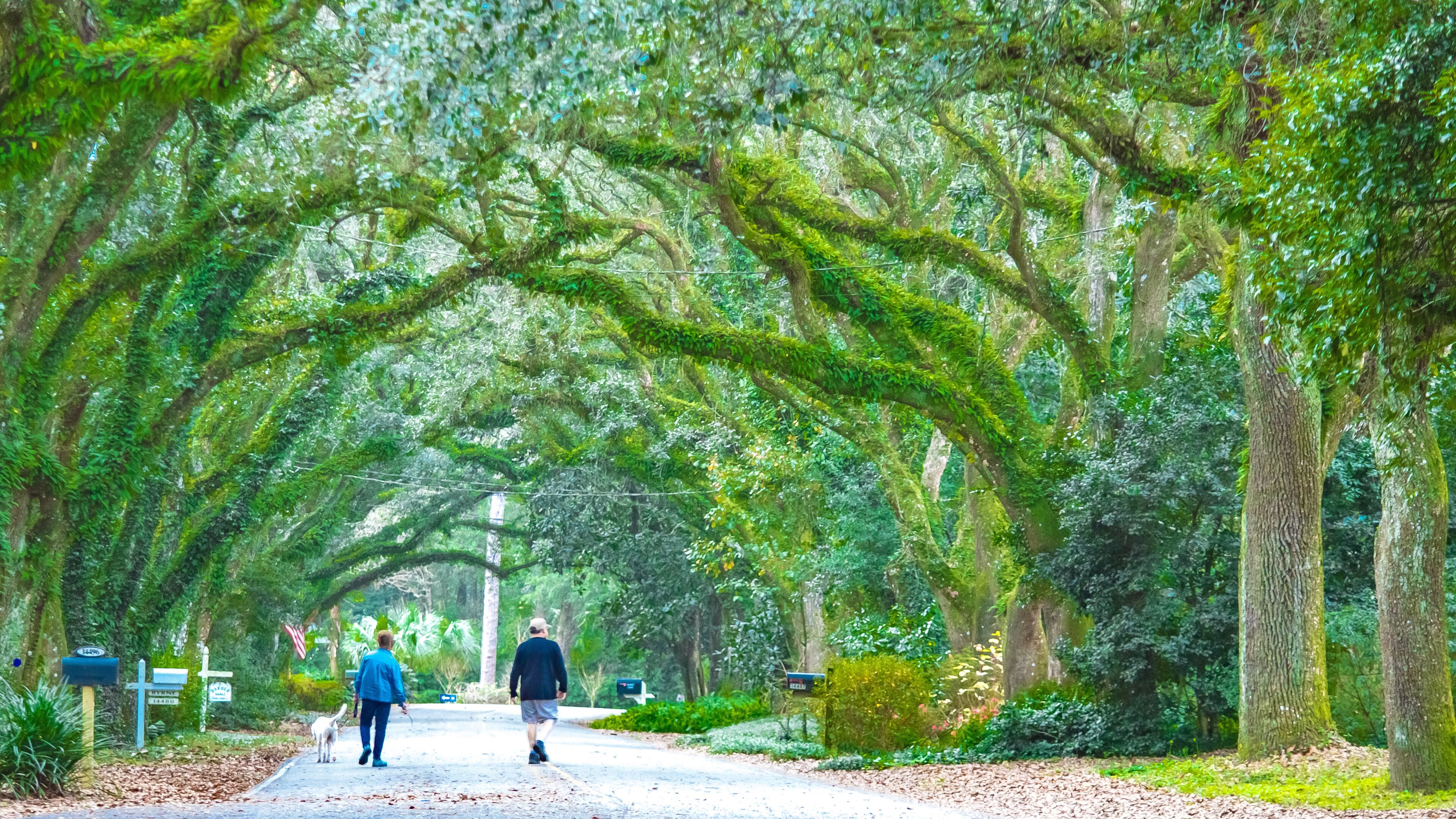 Oak Street , Magnolia Springs , Alabama USA