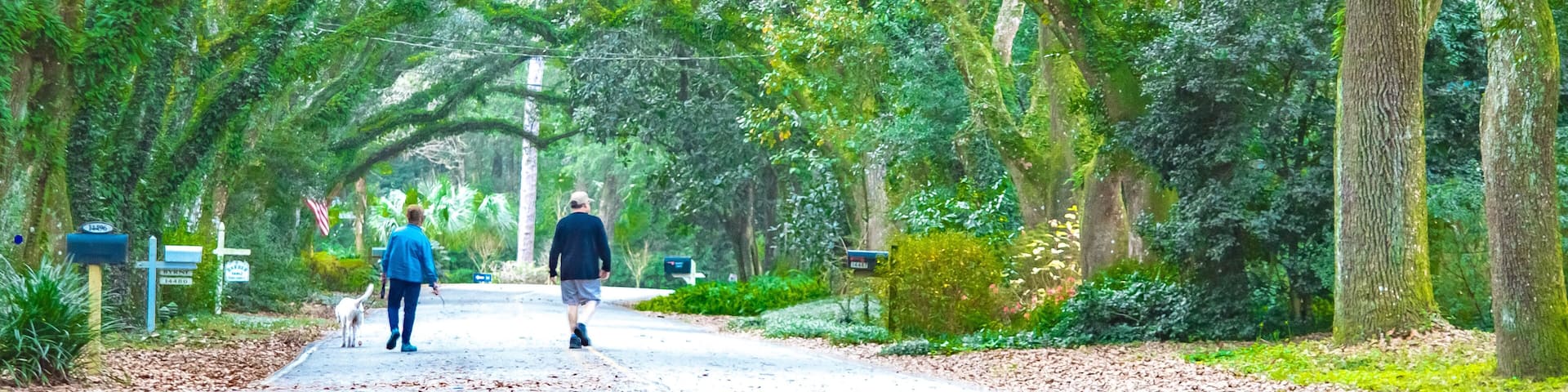 Oak Street , Magnolia Springs , Alabama USA