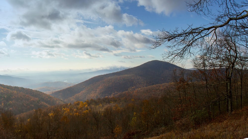 Panorama of fog in valley of Shenandoah National Park on sunny fall day.