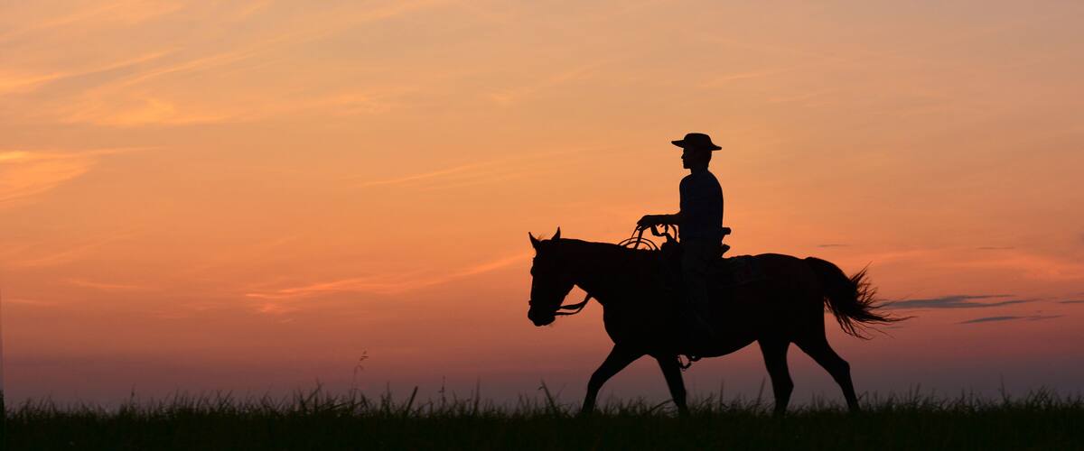 A silhouette of a person riding a horse against a sunset sky.