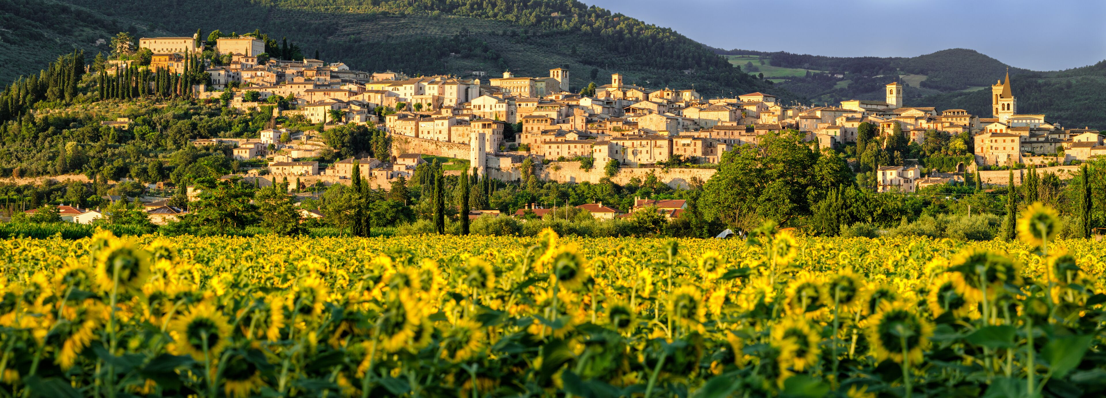 A town nestled in a valley with a field of sunflowers in the foreground.