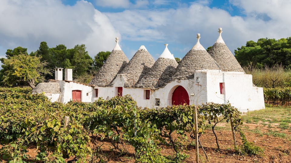A white building with conical roofs surrounded by vineyards.