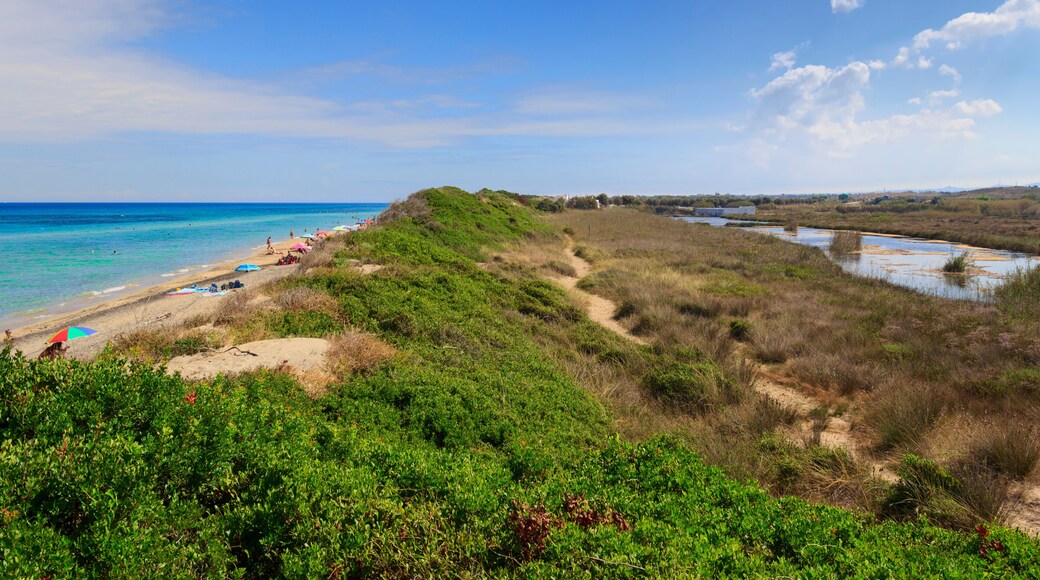 Apulia beach: The Regional Natural Park Dune Costiere, Italy. From Torre Canne to Torre San Leonado the park covers the territories of Ostuni and Fasano along eight kilometers of coastline.