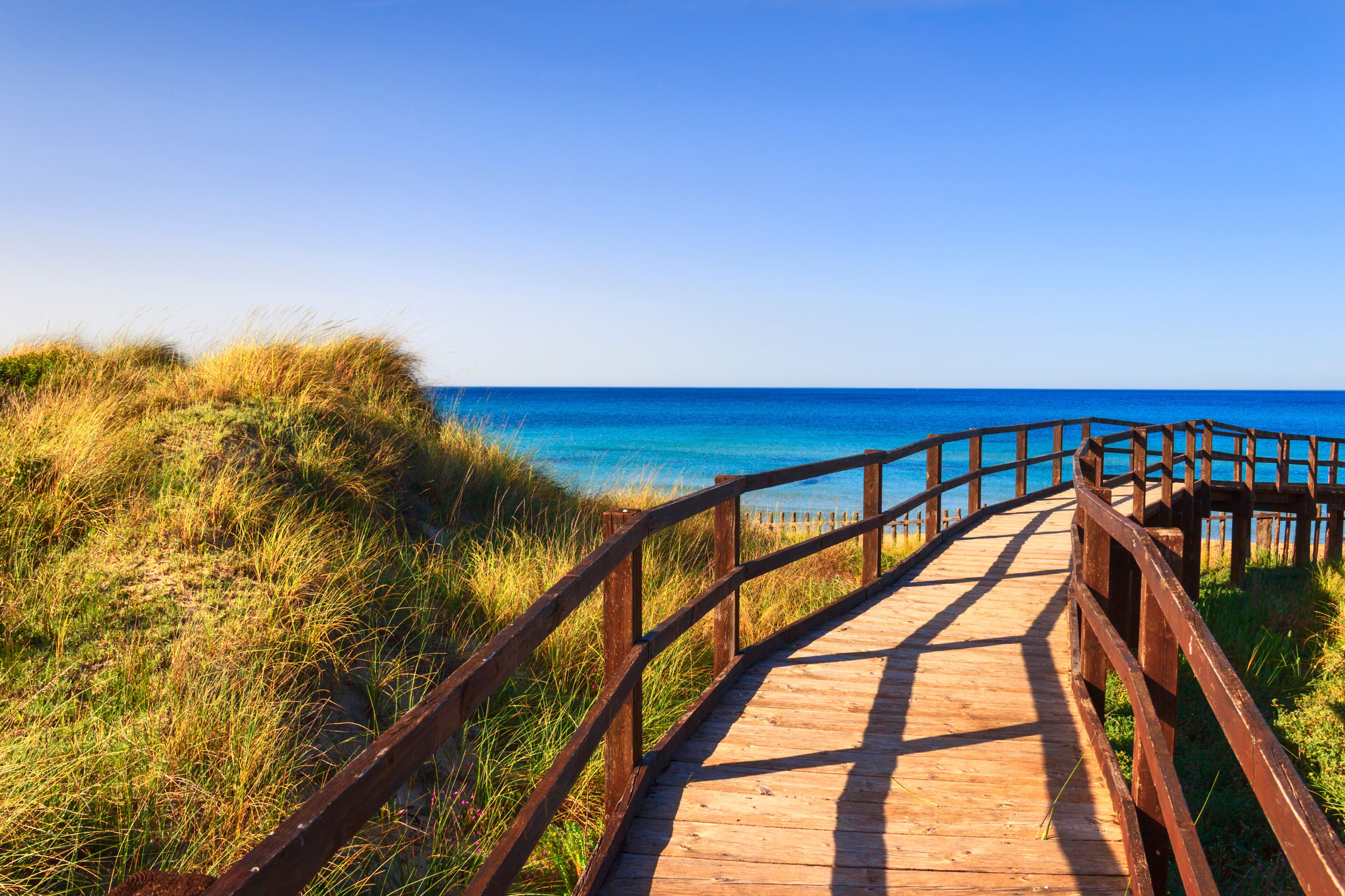 The Regional Natural Park Dune Costiere (Torre Canne): wooden walkway between sea dunes. (Apulia)-ITALY- The park covers the territories of Ostuni and Fasano along eight kilometers of coastline.