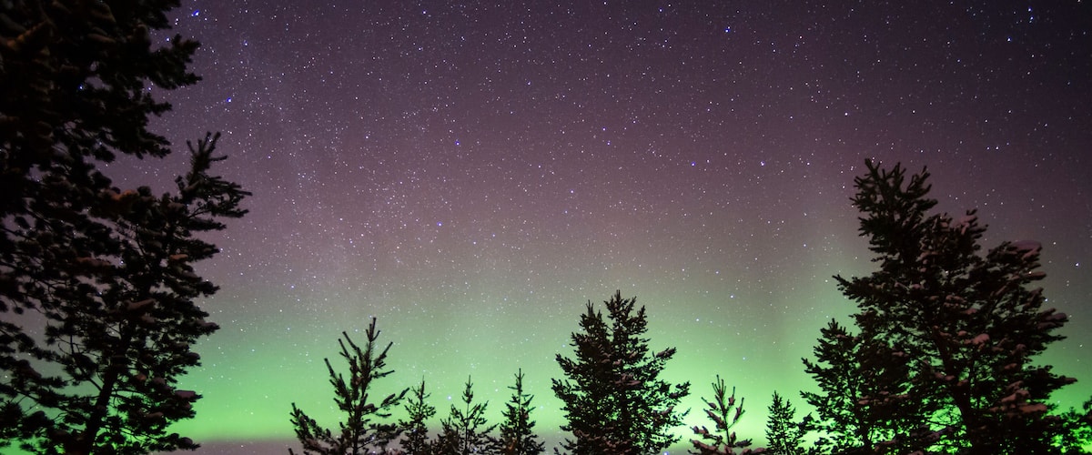 Northern lights over Lapland forest, Jukkasjarvi, Sweden