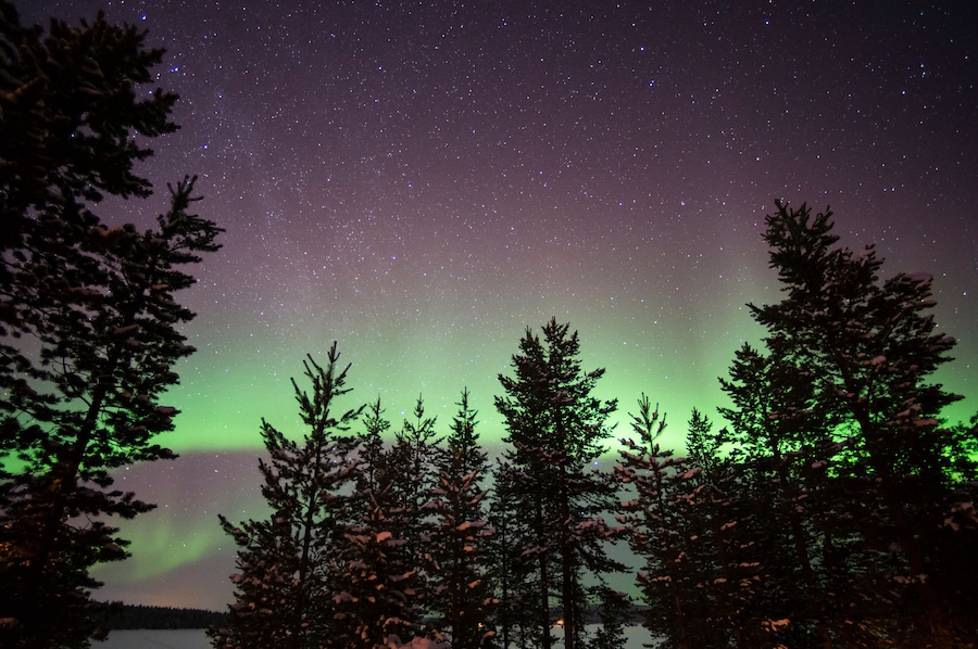 Northern lights over Lapland forest, Jukkasjarvi, Sweden