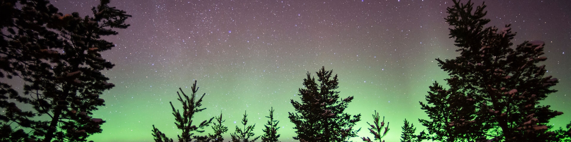 Northern lights over Lapland forest, Jukkasjarvi, Sweden
