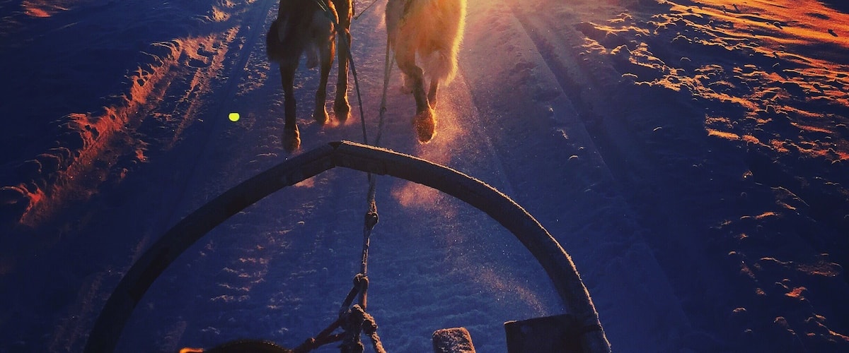 If you find yourself in Kiruna, Sweden be sure to take a trip with Kiruna Sleddog Tours. Truly a magical experience!