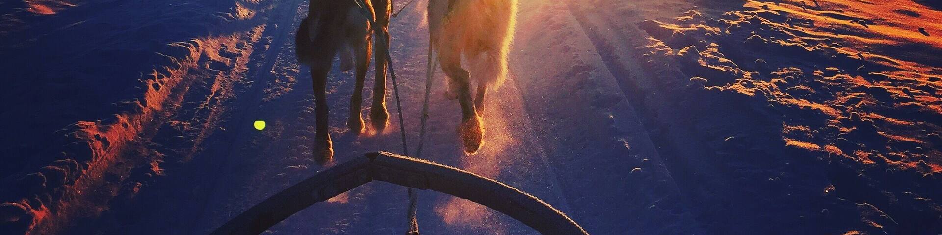 If you find yourself in Kiruna, Sweden be sure to take a trip with Kiruna Sleddog Tours. Truly a magical experience!