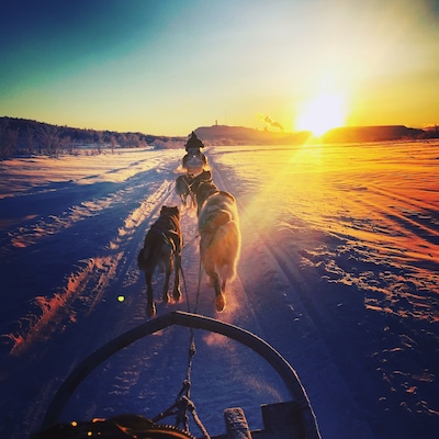 If you find yourself in Kiruna, Sweden be sure to take a trip with Kiruna Sleddog Tours. Truly a magical experience!