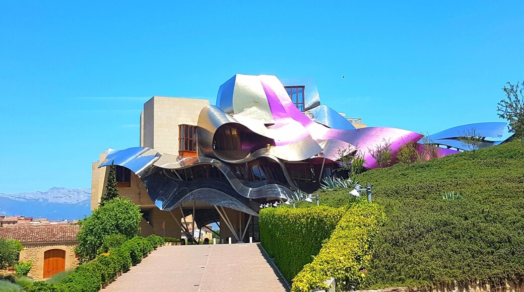 The tour here is a must! Great architecture but there was so much more than Gehry. Lunch on the terrace at the hotel was amazing. I had a 2 hour passionate affair with the Marques de Riscal Gran Reserva