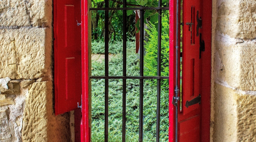 Barred window at the bodega