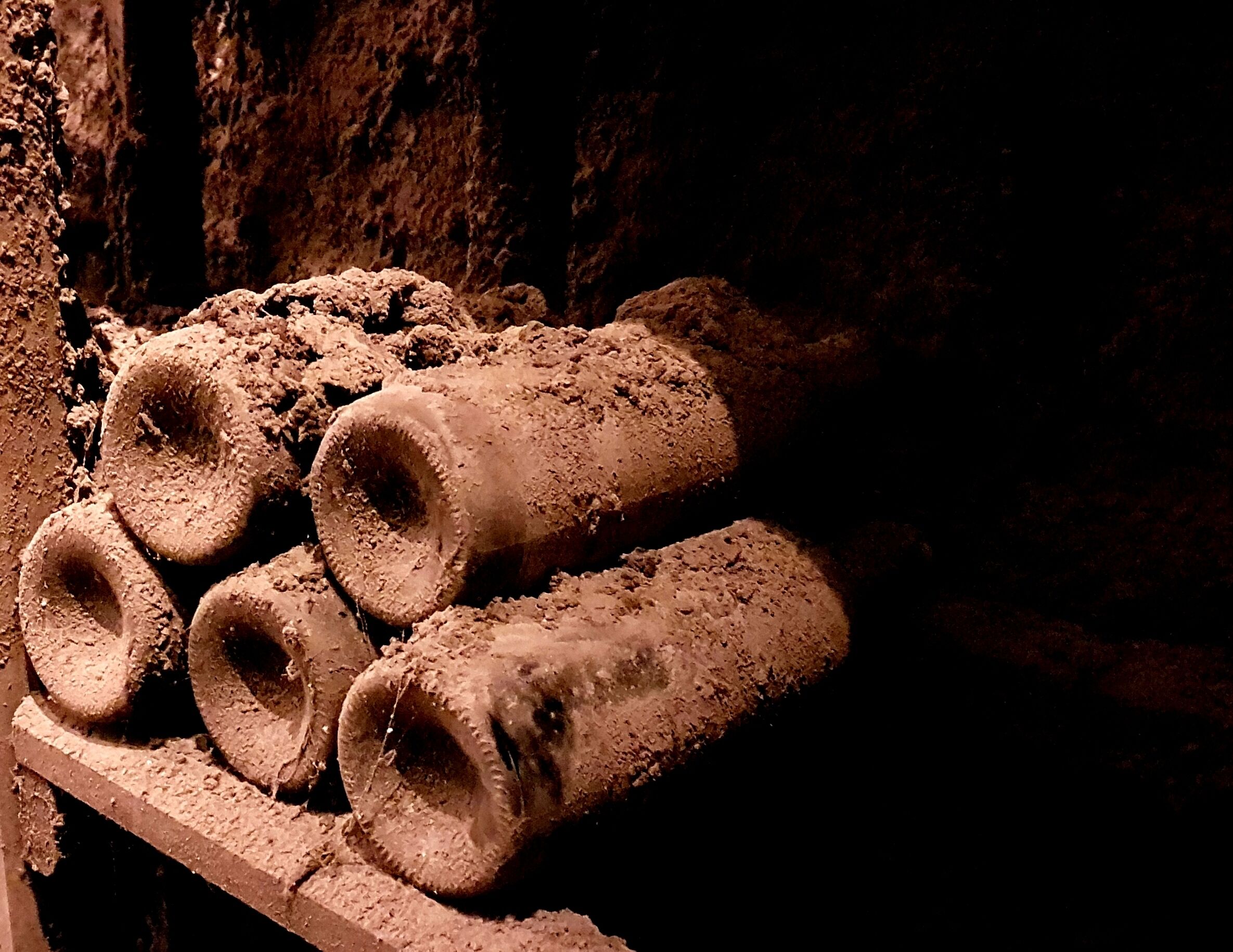 This is what wine looks like if you store it for 50 years! An interesting bodega with a good bit of history in the tour