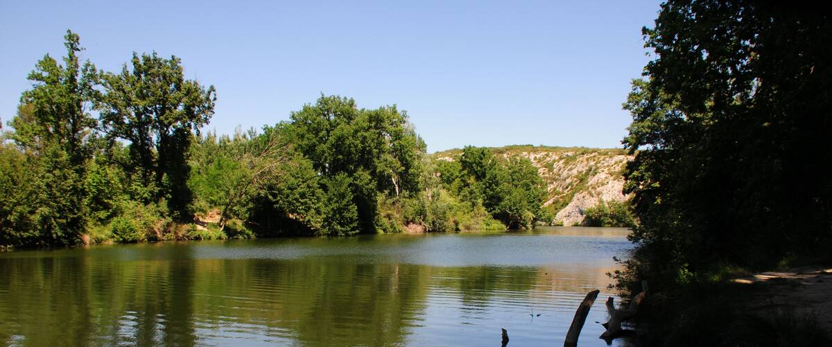 A calm river surrounded by dense trees and a rocky hillside.
