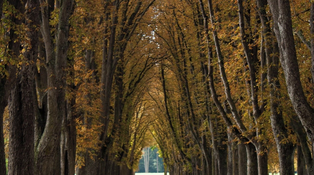 The gardens in the town of Richelieu. The Chateau that was built here was nationalised following the French Revolution, and sold off brick by brick