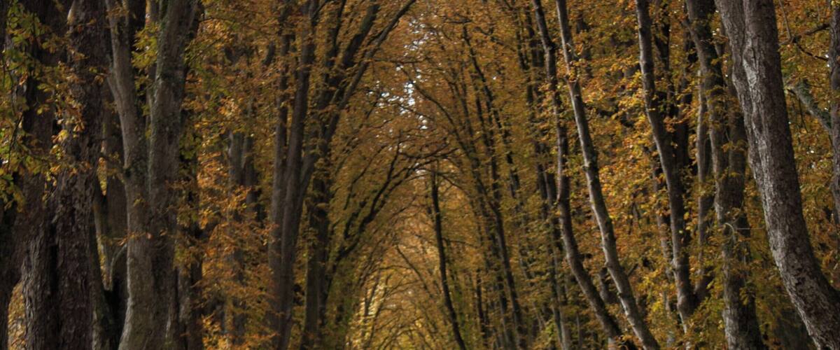 The gardens in the town of Richelieu. The Chateau that was built here was nationalised following the French Revolution, and sold off brick by brick