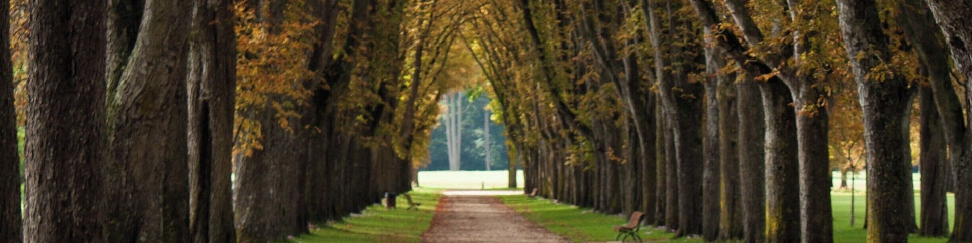 The gardens in the town of Richelieu. The Chateau that was built here was nationalised following the French Revolution, and sold off brick by brick