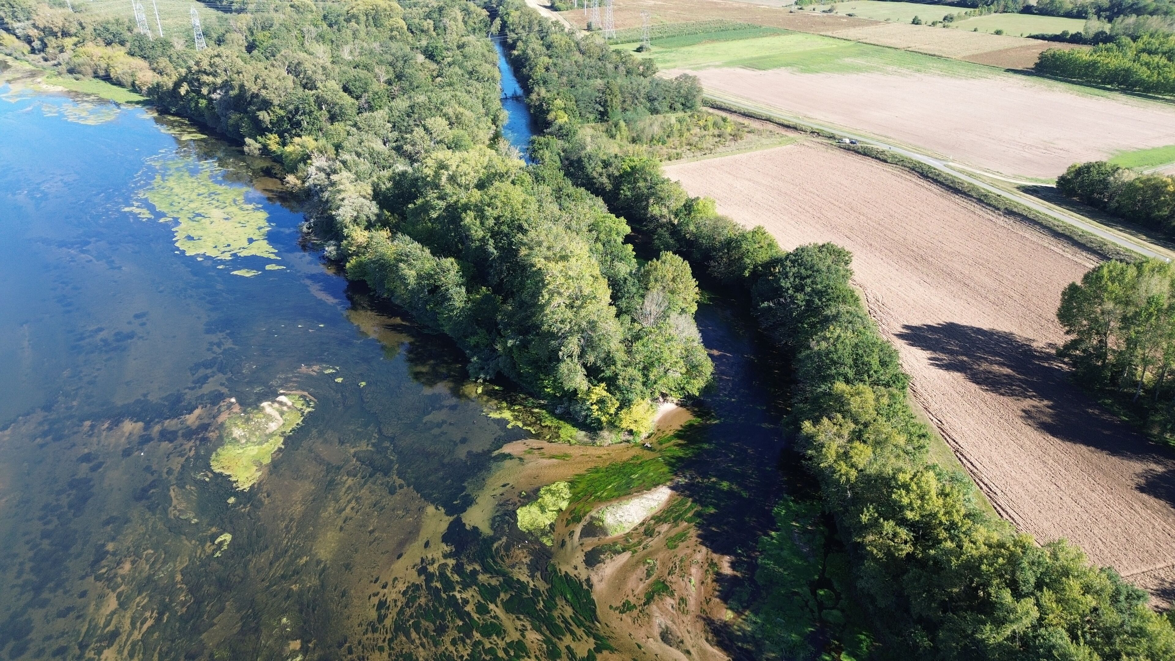 La pointe du Courpain (Courpain's peak) near Orléans, France. The Loire river is streaming on the left. Beautiful natural place during a hot and sunny summer day.