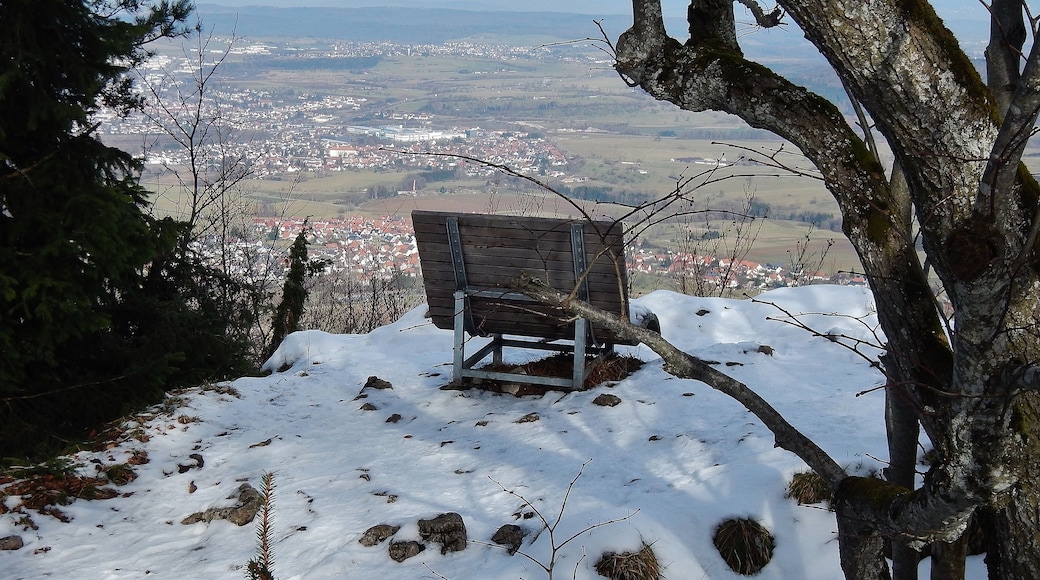 Ausblick vom Traufgängerweg beim Backofenfelsen 923 m. ü. NN.