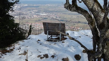 Ausblick vom Traufgängerweg beim Backofenfelsen 923 m. ü. NN.