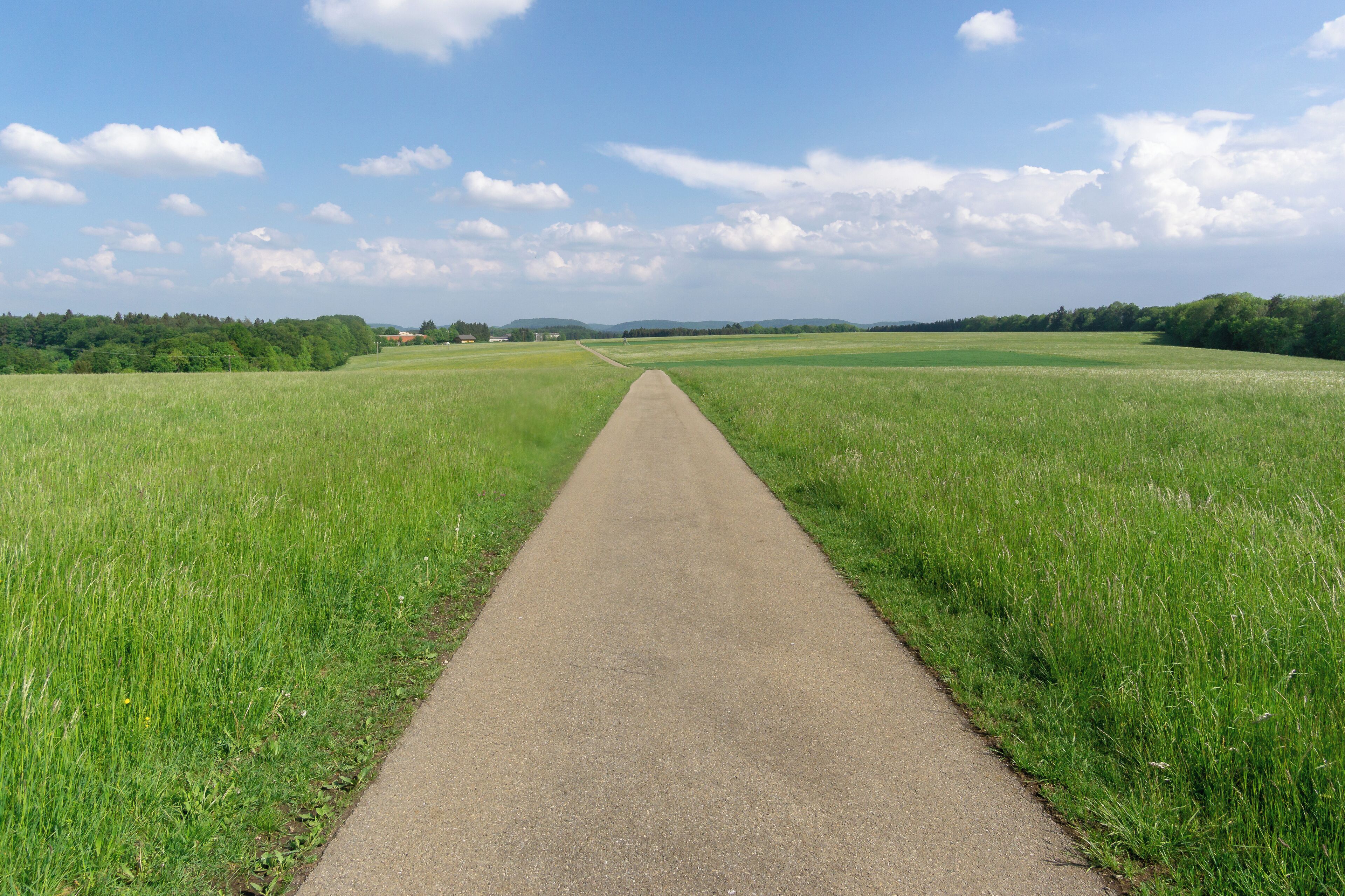 Landschaftsschutzgebiet Hundsrücken 4.17.040
