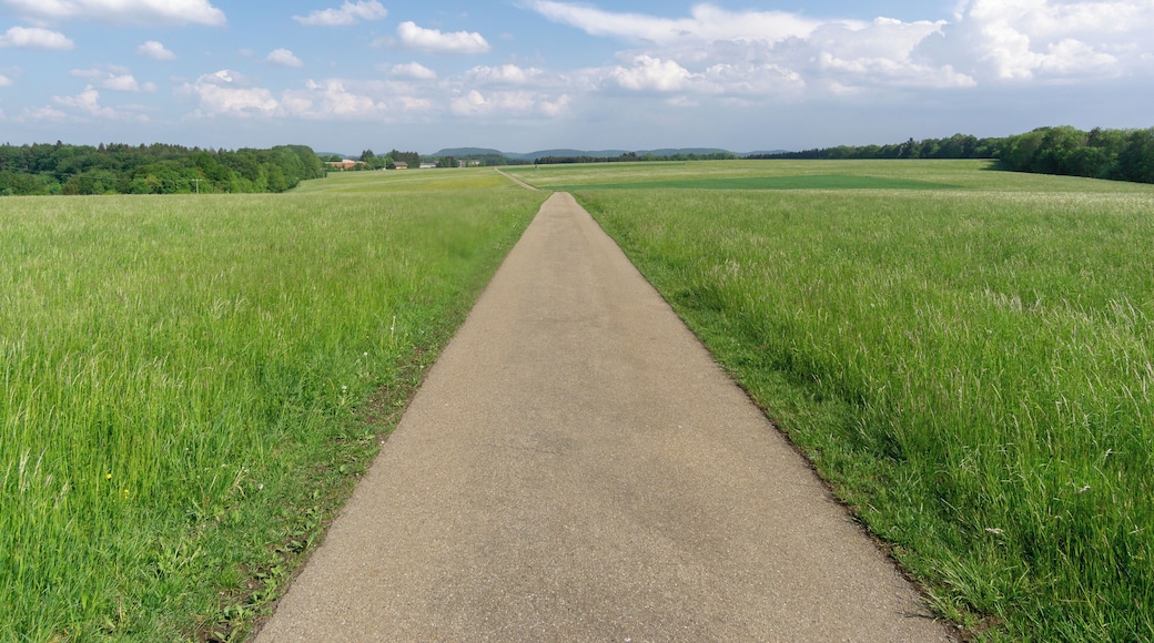 Landschaftsschutzgebiet Hundsrücken 4.17.040