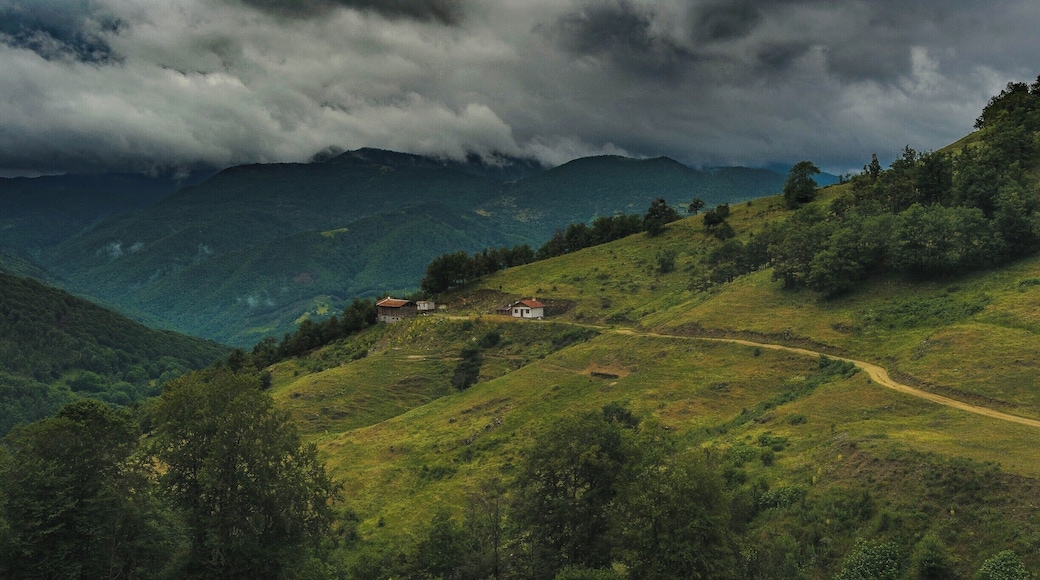 Somebody decided to live in peace and quiet. I think I get them.
#bulgaria #nature #landscape #wallpaper #BVStrove
