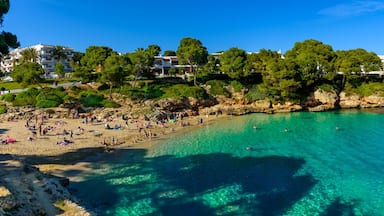 Una playa costera con aguas turquesas cristalinas, una orilla arenosa y un telón de fondo de vegetación exuberante y edificios.