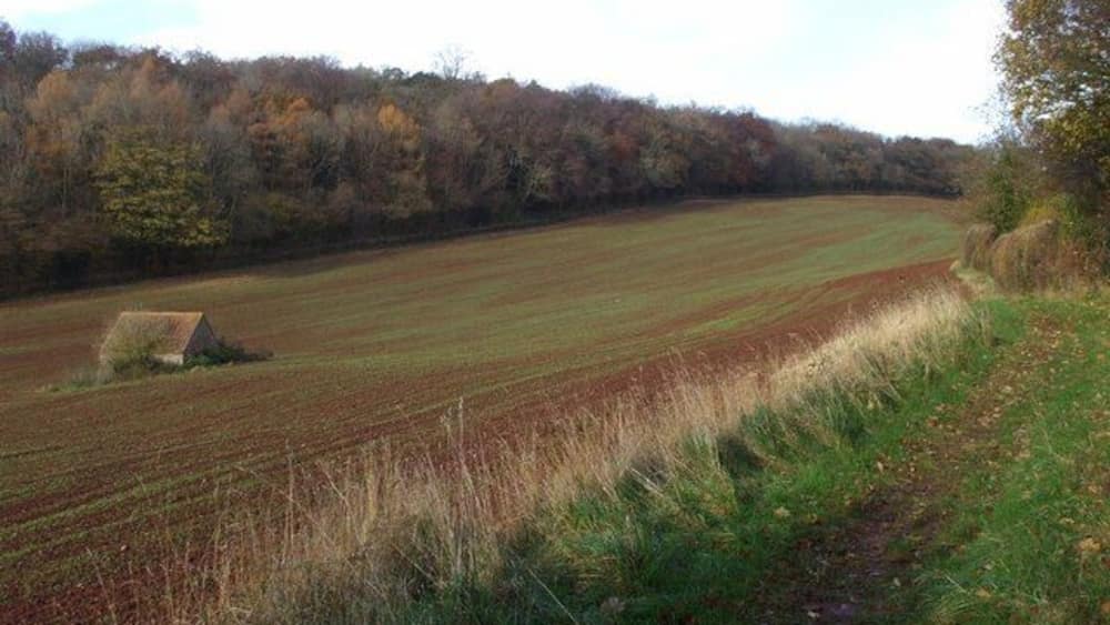Ländliche Landschaft mit einem Feld, einem kleinen Haus und einem Wald im Hintergrund.