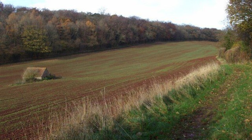 Arable land, Wrington