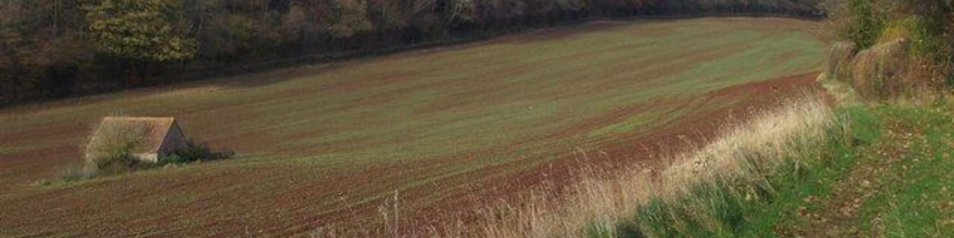 Arable land, Wrington