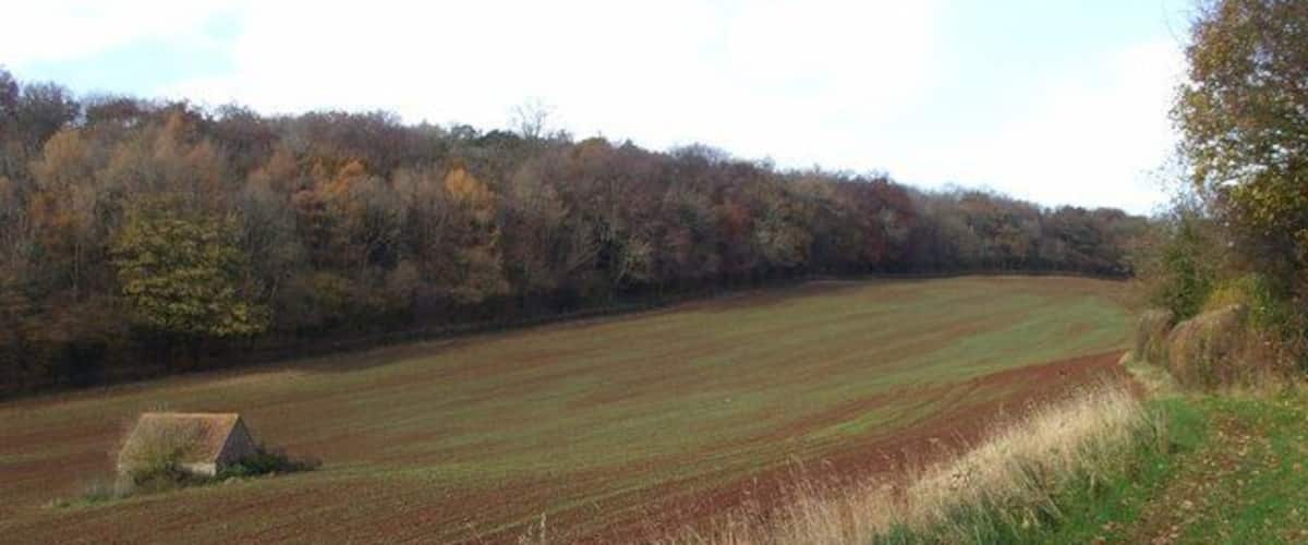 A rural landscape with a field, a small house, and a forest in the background.