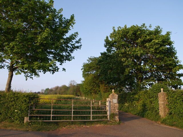 Drive to Burnt House Farm A division of footpaths a little way up the hill above Long Lane. The path running up the drive to the farm beside the oil rape field continues to Cottage Farm; the lane on the left is carrying a footpath past Little Horts Wood.