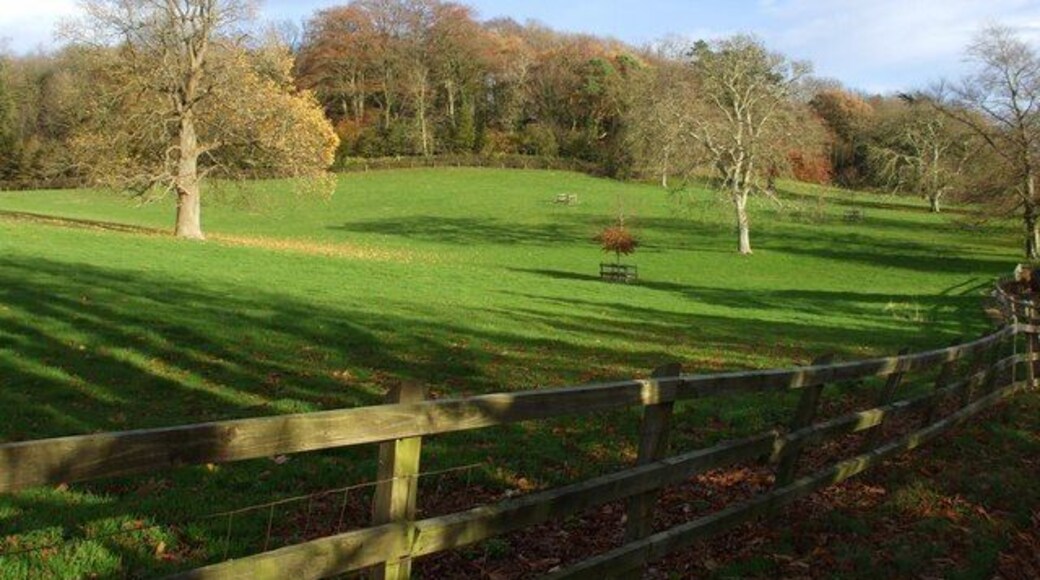 Pasture and woodland beside the drive to Barley Wood, Wrington